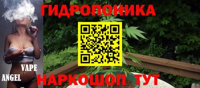 mdpv Лесосибирск