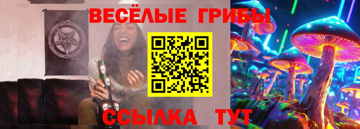 Галлюциногенные грибы Psilocybine cubensis Зеленодольск