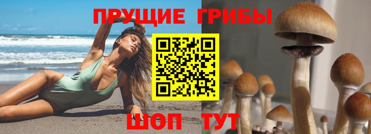 Псилоцибиновые грибы прущие грибы  Вход с VPN  Зеленодольск  Галлюциногенные грибы мухоморы 